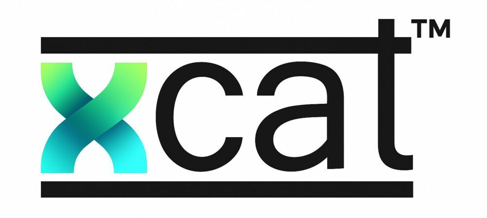 Xcat Tools & Accessories – European Store